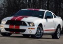 Ford Shelby GT 500