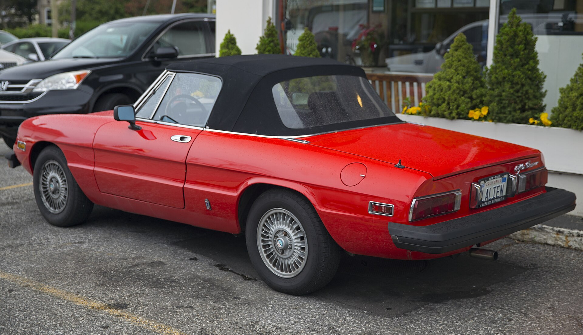 Alfa Romeo Spider 115