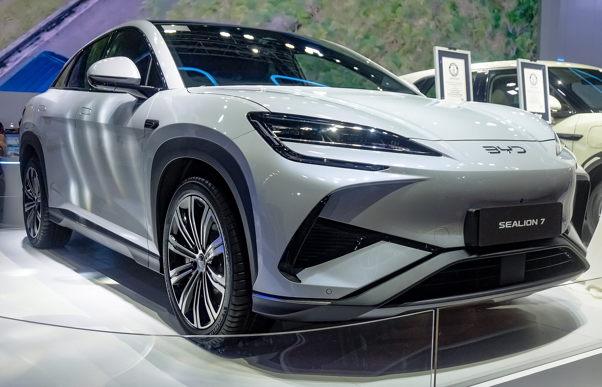 Byd Sea Lion 6