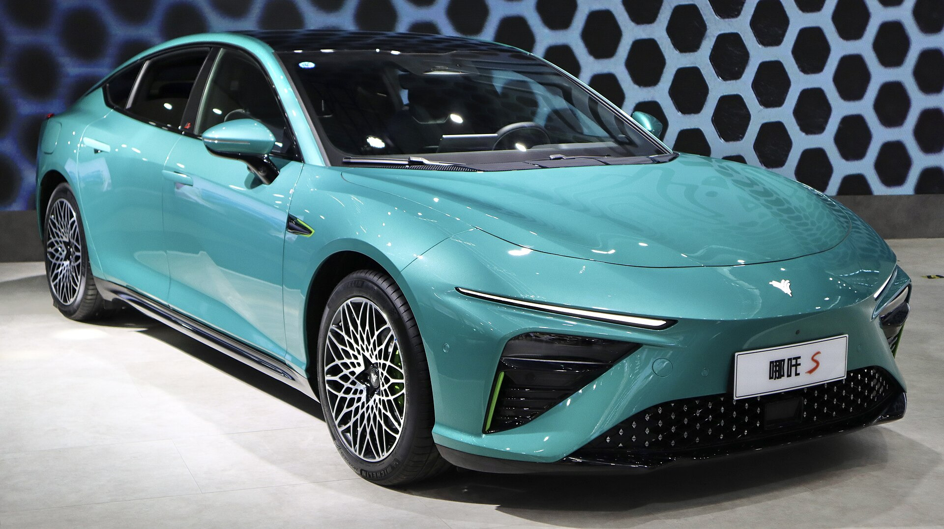 Neta S (2022)