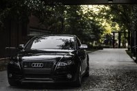 B8