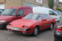 Z31