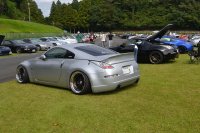 Z33