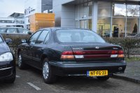 QX III A33