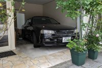 X R34
