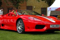 Modena Spider