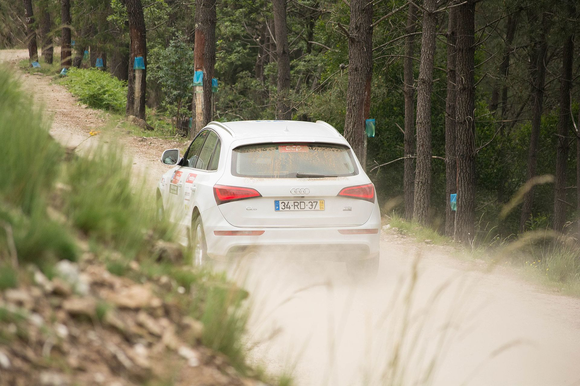 Audi Q5 3.0 TDI (240hp) quattro S tronic