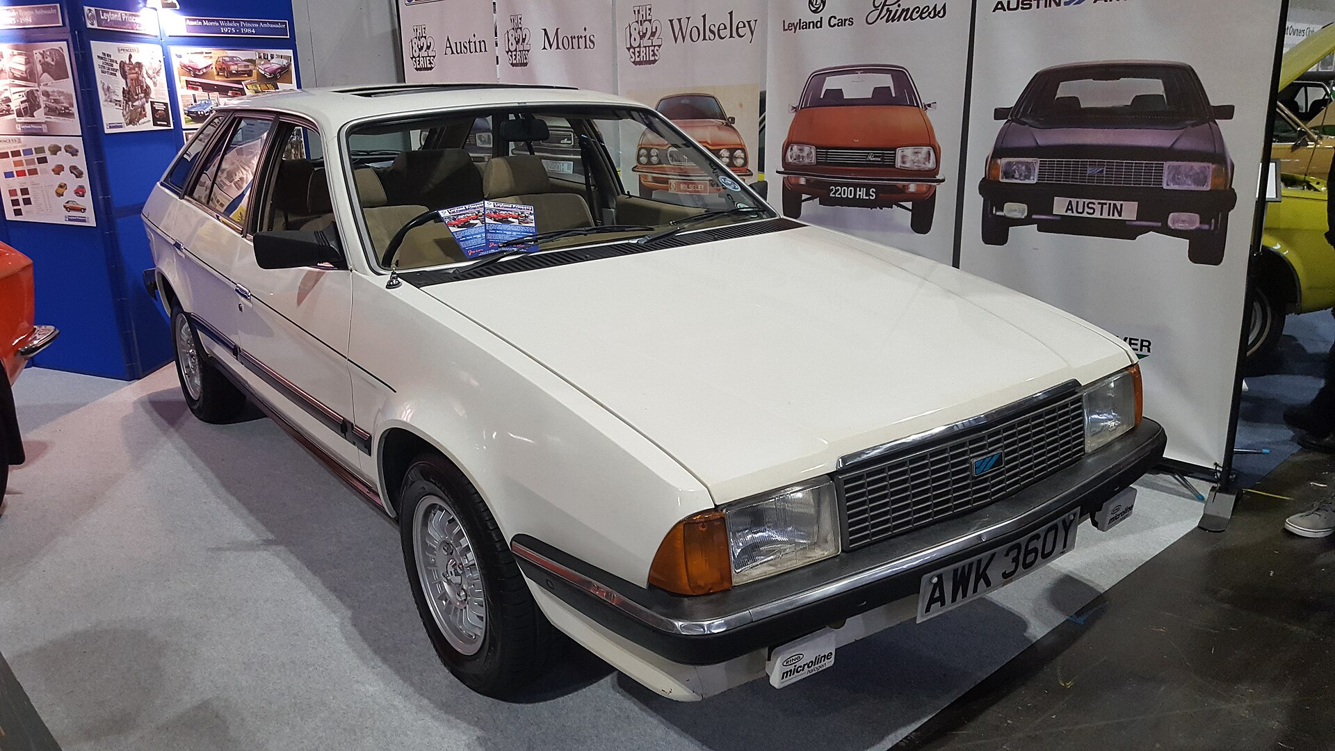 Austin Ambassador