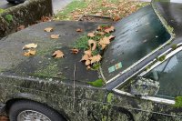 BMW 7er E23 728 i (184hp) — снимка 3