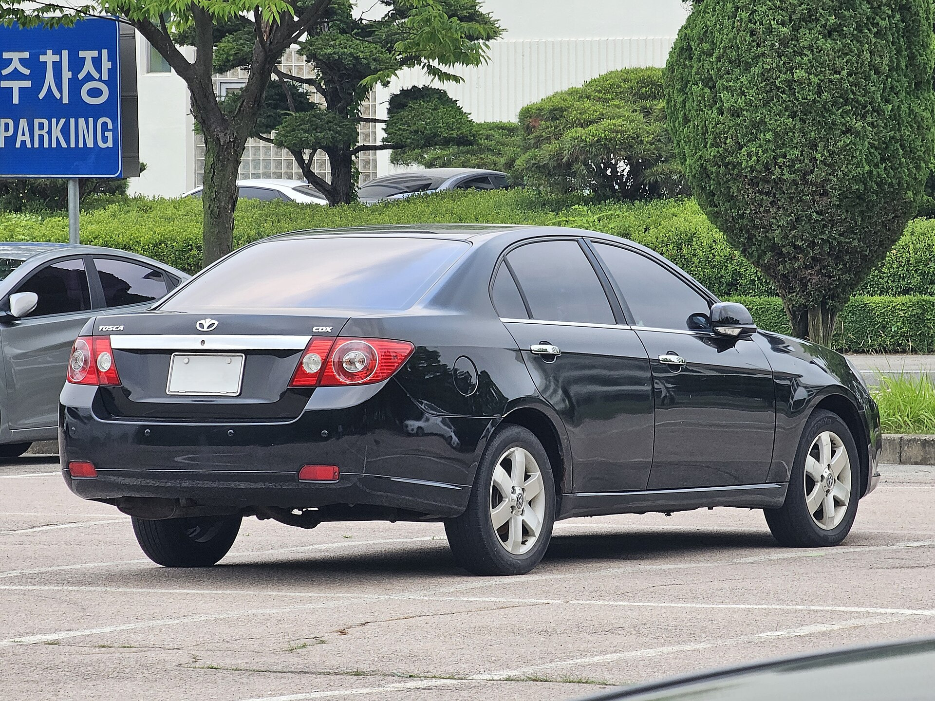 Daewoo Tosca 2.5i R6 24V(152hp)