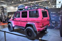 Mercedes-Benz G-Klasse W463 — снимка 2