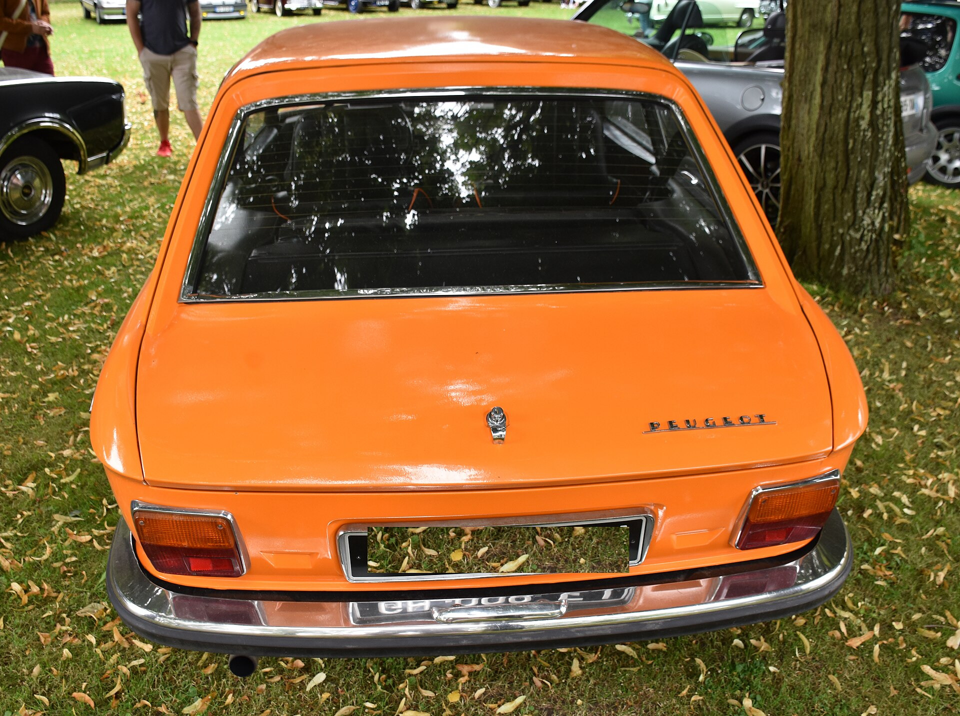 Peugeot 304
