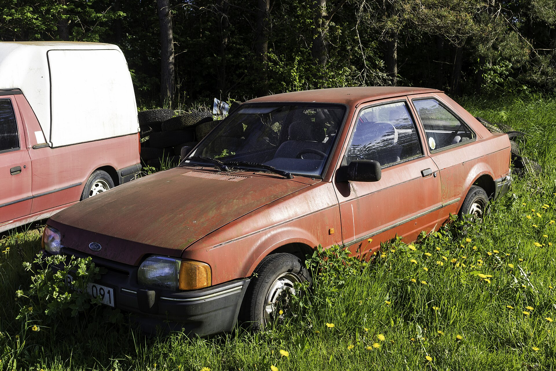 Ford Escort IV GAF,AWF,ABFT