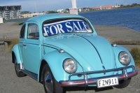 Beetle 2011