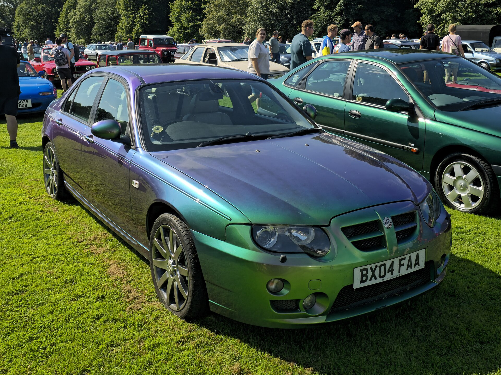 Mg ZT