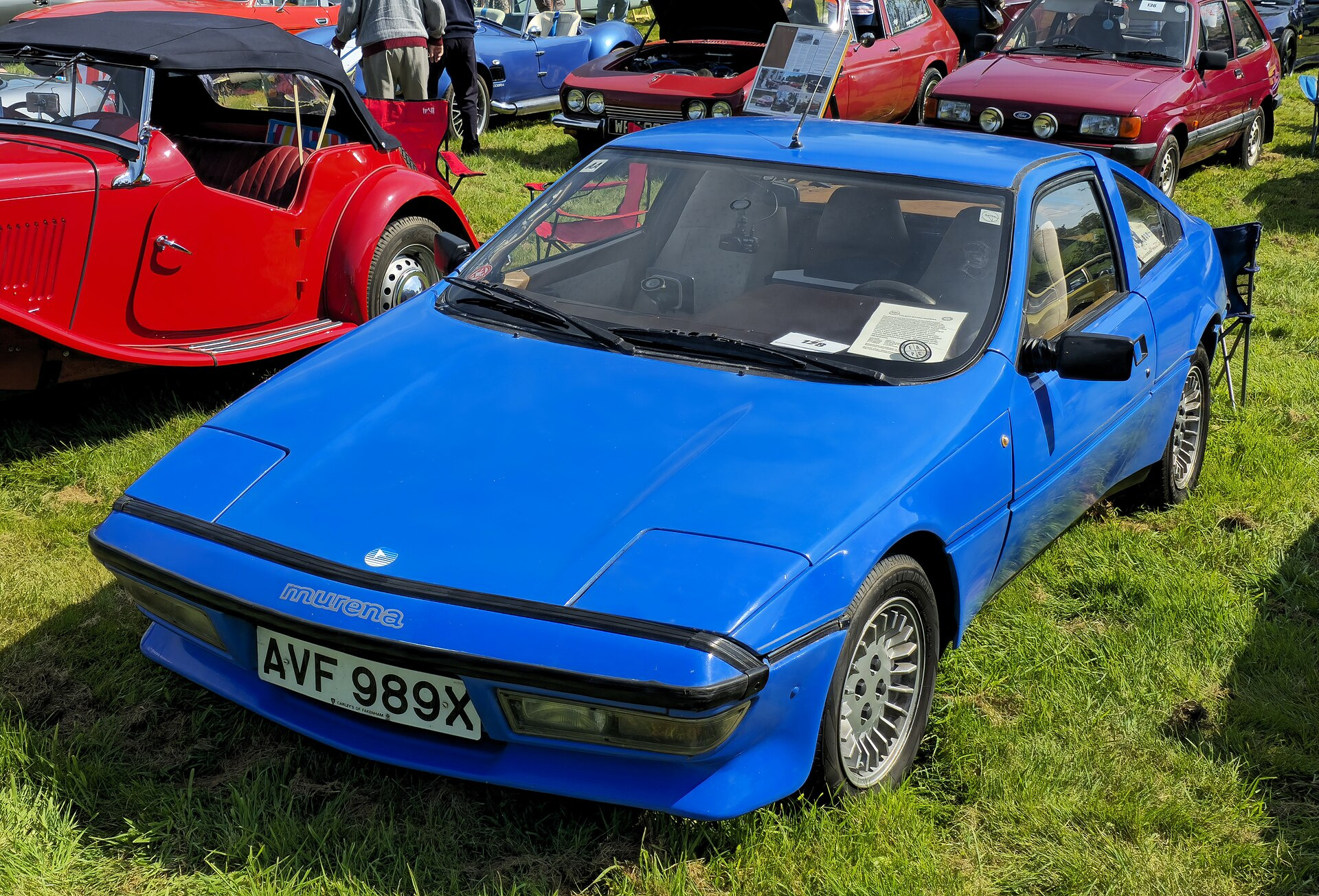 Talbot Murena