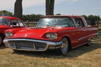 Ford Thunderbird Retro Birds — снимка 2