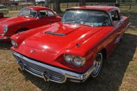 Ford Thunderbird Retro Birds — снимка 3