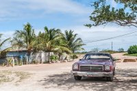 Chevrolet Malibu El Camino (Sedan Pickup, facelift 1981) — снимка 2