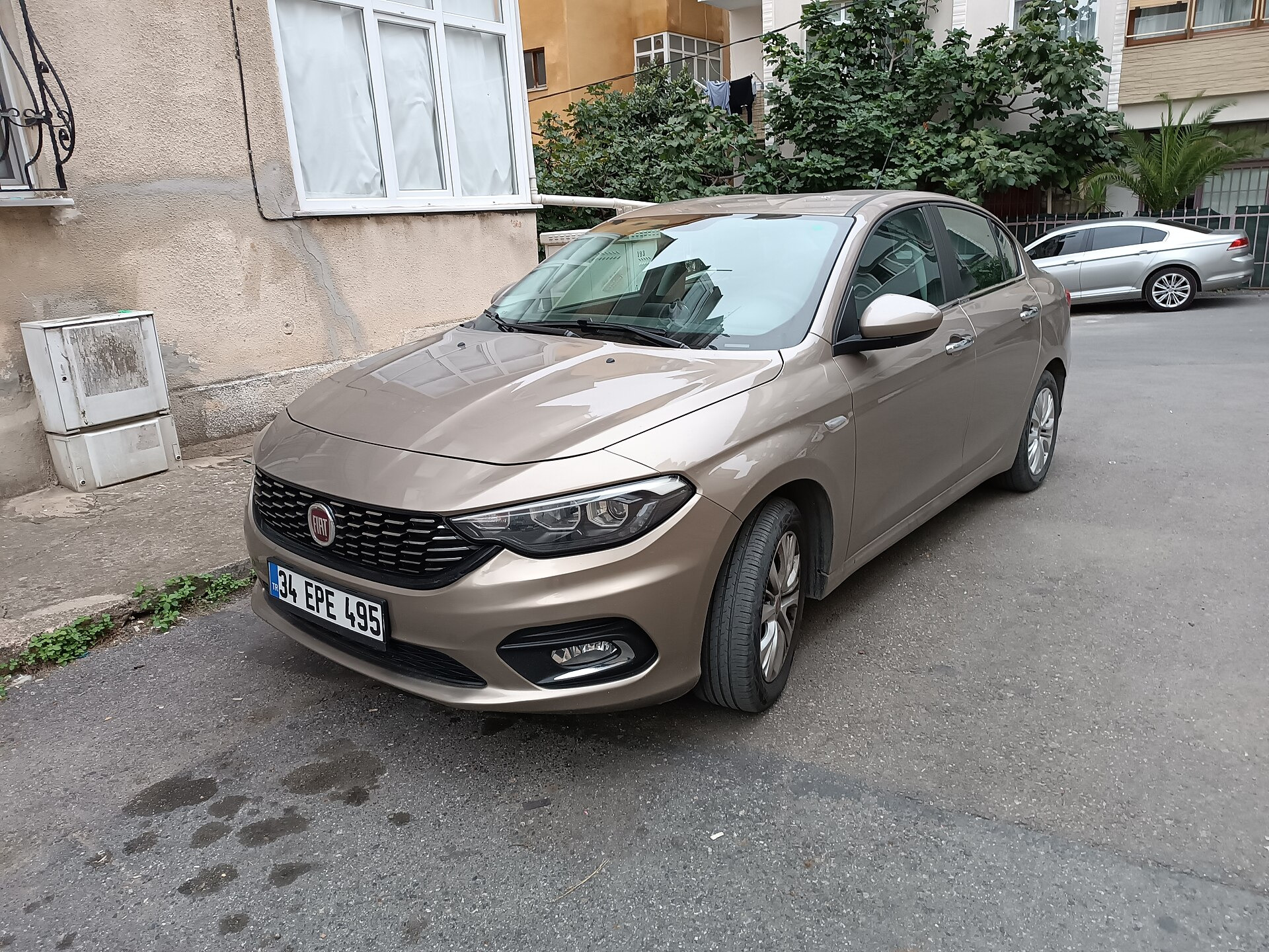 Fiat Egea (356)