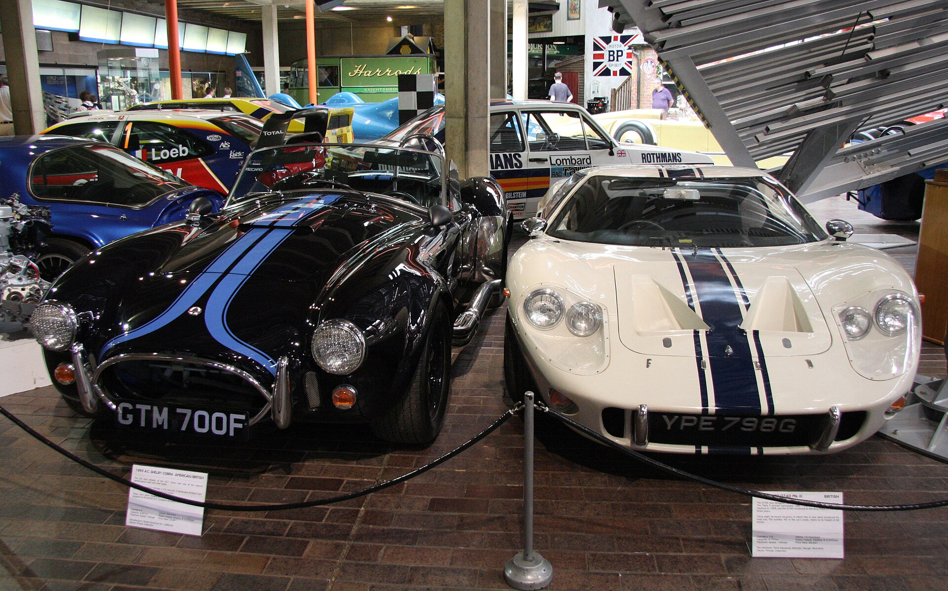 Ford Shelby III