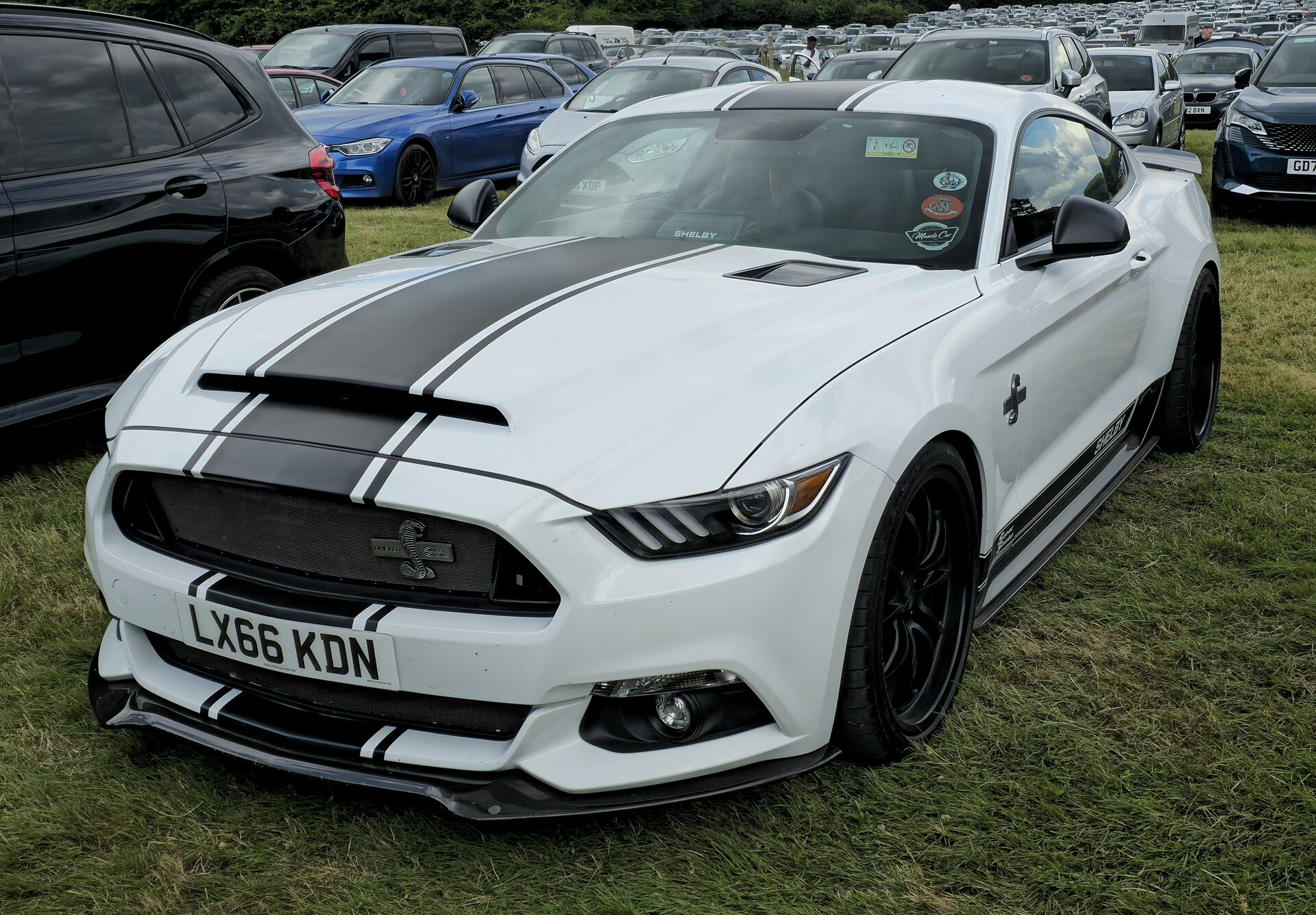 Ford Shelby II (facelift 2010)