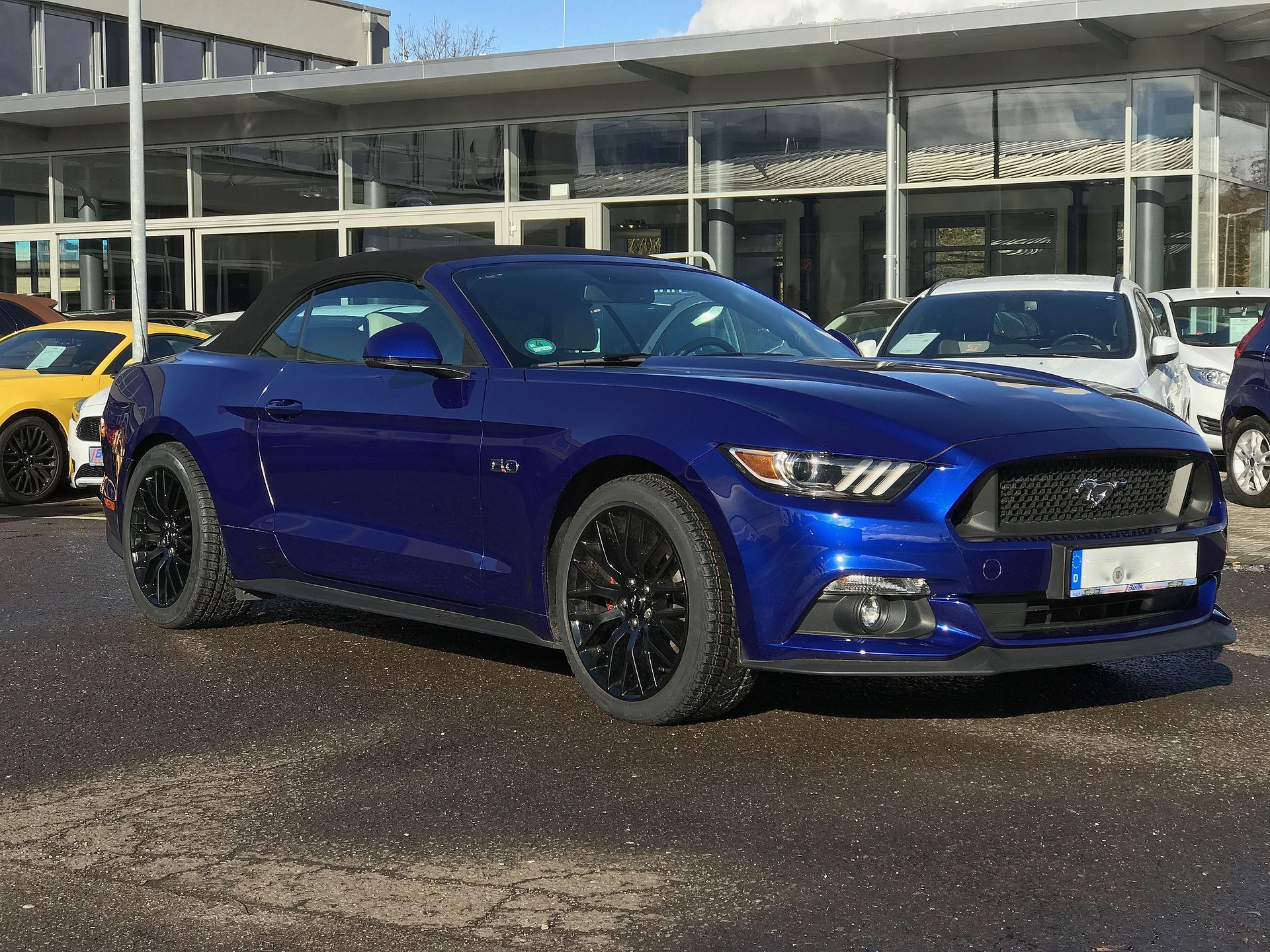 Ford Shelby I Cabrio