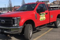 Ford F-Series F-250 X Regular Cab — снимка 3
