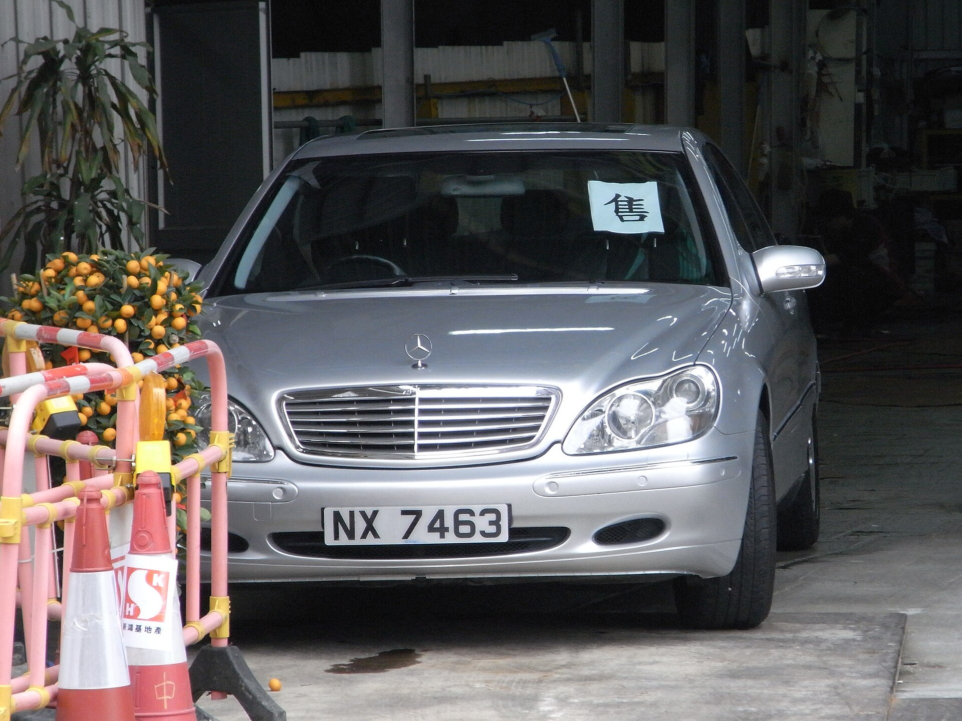 Mercedes-Benz S-Class Long (W220)