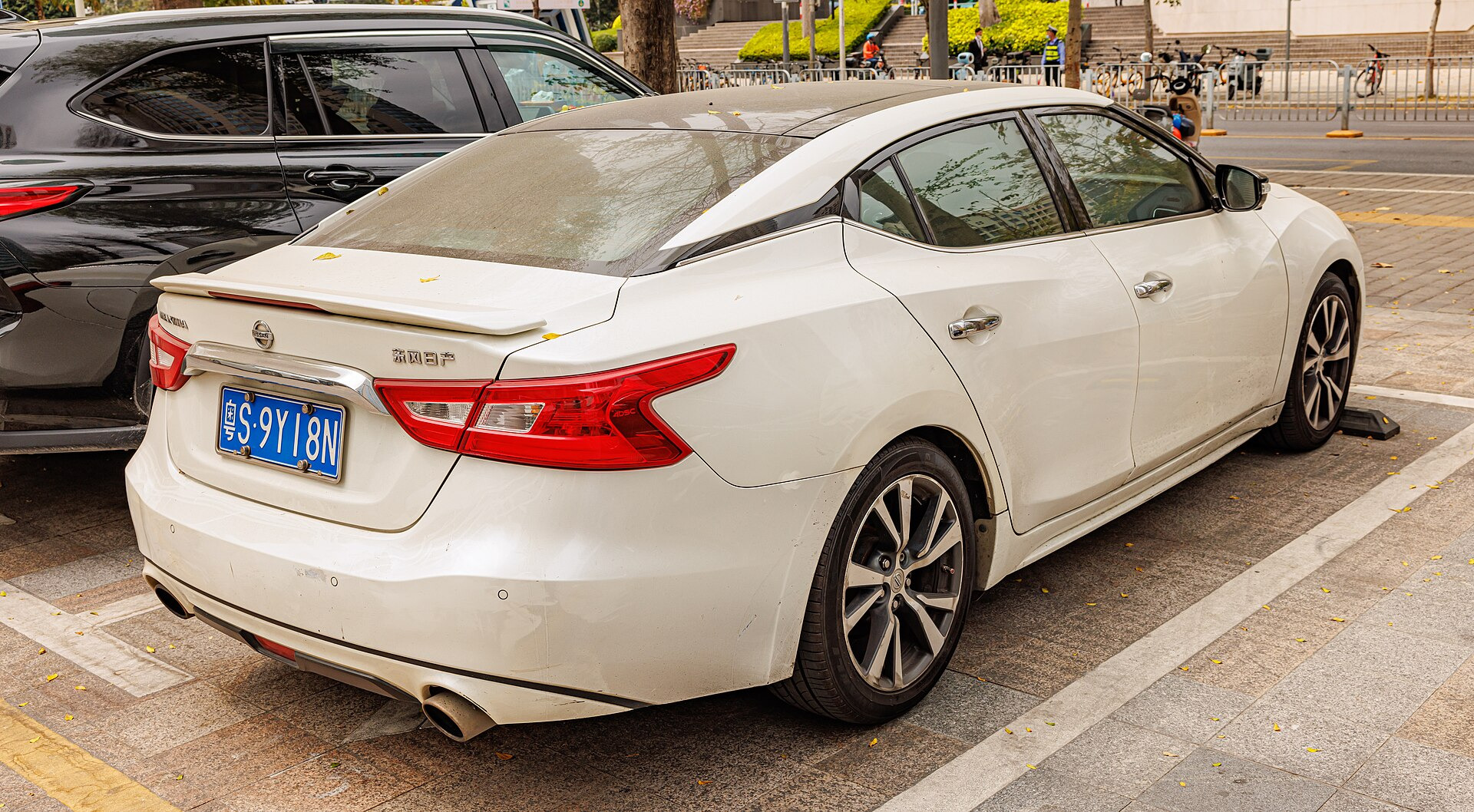 Nissan Maxima VII (A35)